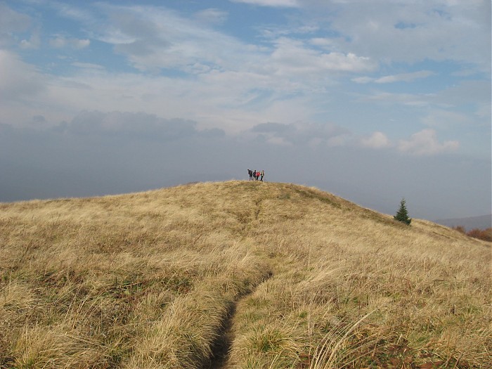 Bieszczady