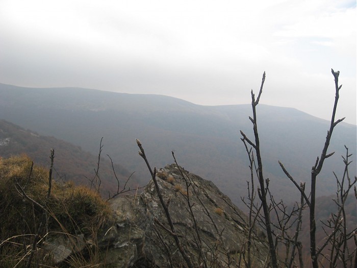 Bieszczady 