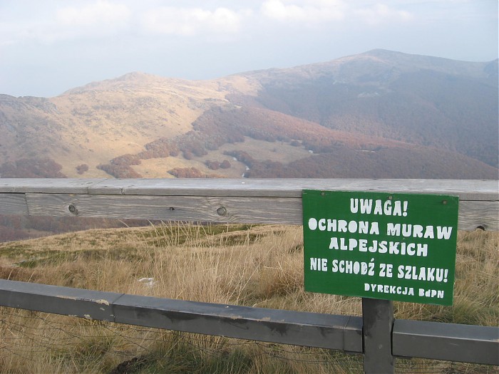 Bieszczady