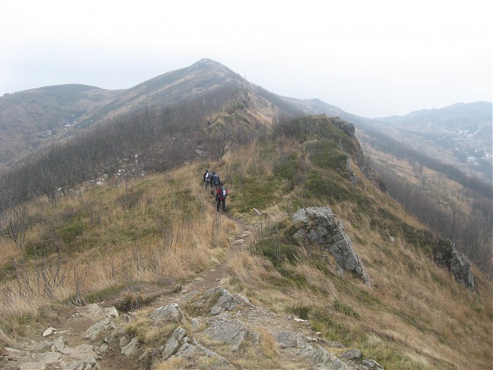 Bieszczady