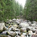 Tatry Słowackie - Vychodna Vysoka